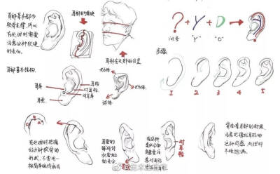 绘画教程 人体五官 鼻子画法