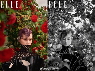 #明星时尚#李宇春 &amp;《ELLE》八月刊封面｜夸张复古的色彩和罗马风情的庄园，让整体画面有着油画般的造型美感。