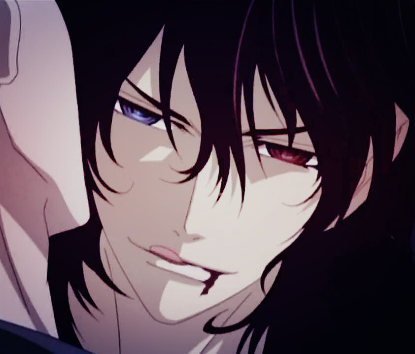 动漫 吸血鬼骑士 玖兰枢 玖兰优姬 黑主优姬 锥生零 夜间部 蓝堂英 玖兰李土 支葵千里 架院晓 一条拓麻