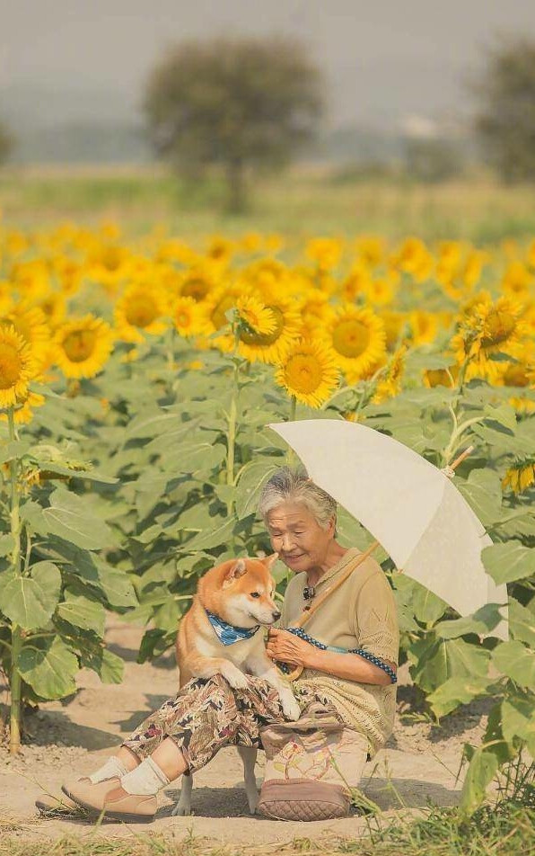 老人与小柴