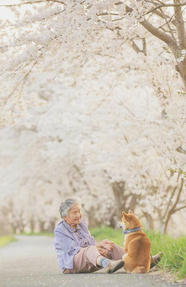 老人与小柴