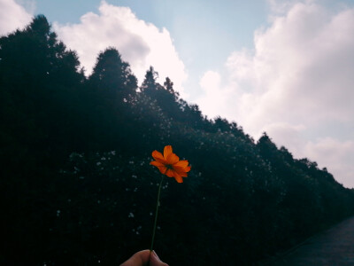 花开正好时
一切刚刚好