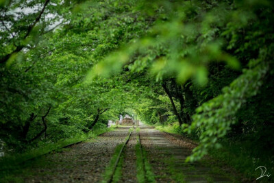 日本东京一条铁路的四季景色