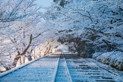 日本东京一条铁路的四季景色