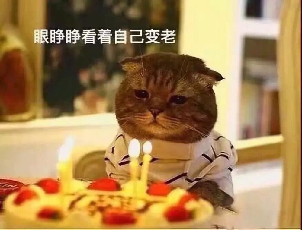 生日快乐