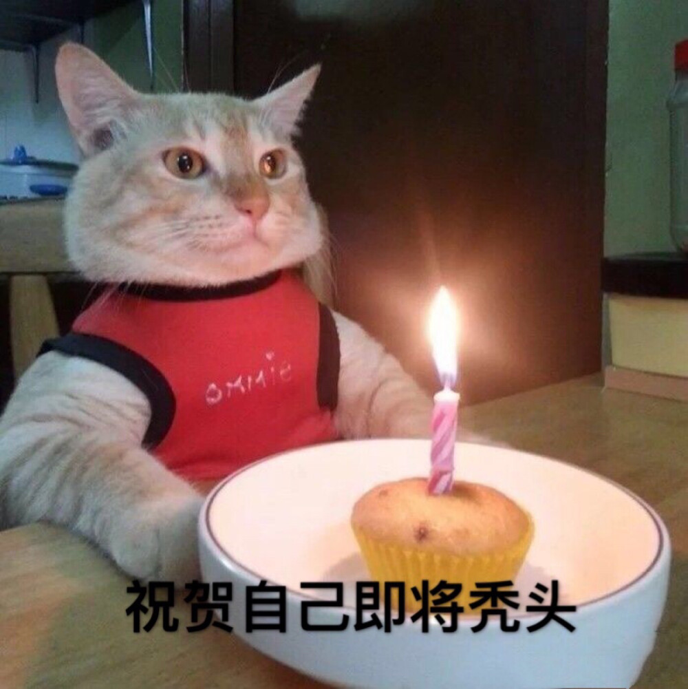 生日快乐