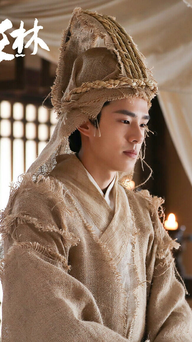 琅琊榜之风起长林萧平旌刘昊然