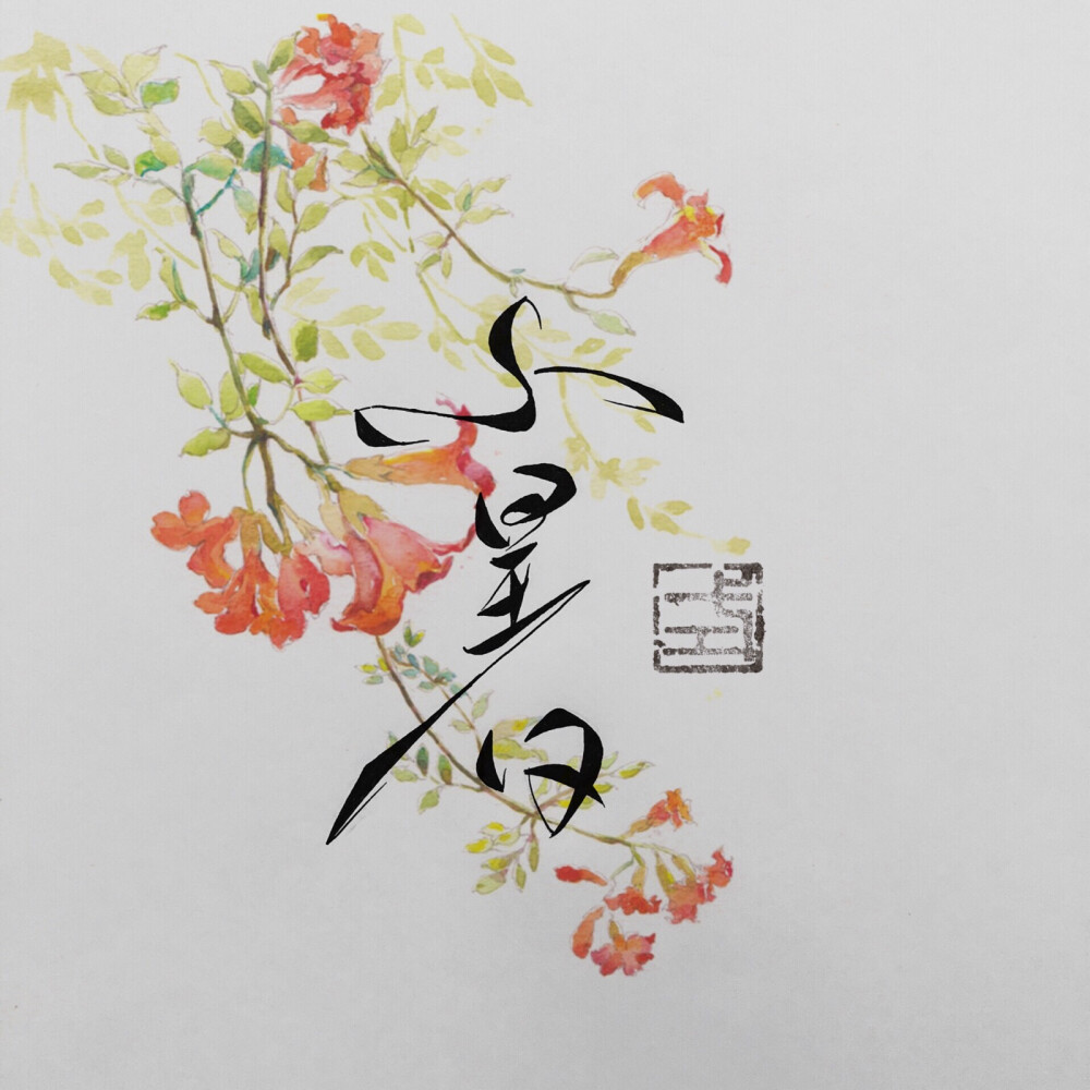 小暑，凌霄花。