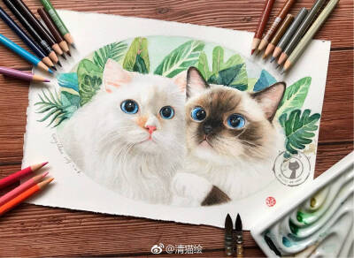 彩铅画手绘图