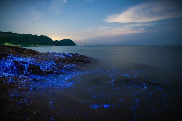 “蓝眼泪”日本本州岛西南部海湾的海萤聚集地，这些石头又被称为&quot;哭泣的石头&quot; ，好美！