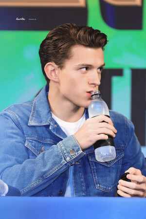 TomHolland 荷兰弟