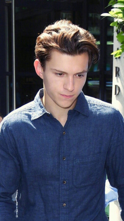 荷兰弟
汤姆赫兰德