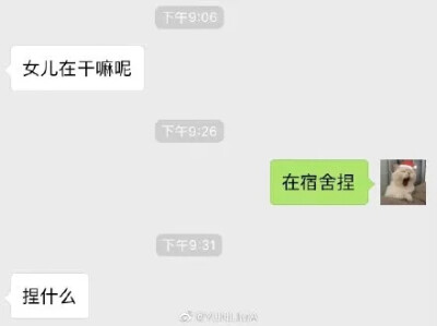 沙雕聊天记录