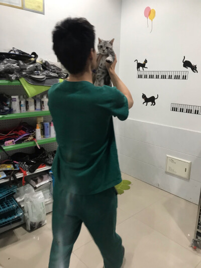 可乐猫生第一次洗澡 慌的不行