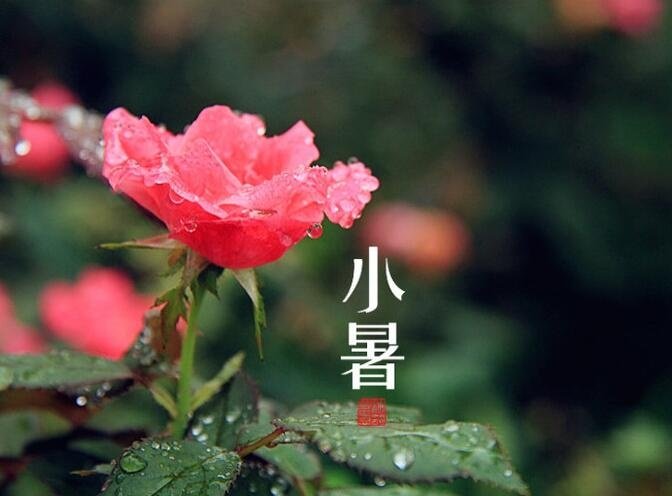 #微博节日# 【 今日 · 小暑 】--- “ 小暑是农历二十四节气之第十一个节气，夏天的第五个节气，表示季夏时节的正式开始。小暑为小热，还不十分热。《月令七十二候集解》：“六月节……暑，热也，就热之中分为大小，月初为小，月中为大，今则热气犹小也。”