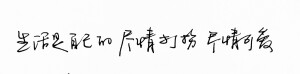 手写心情
钢笔字