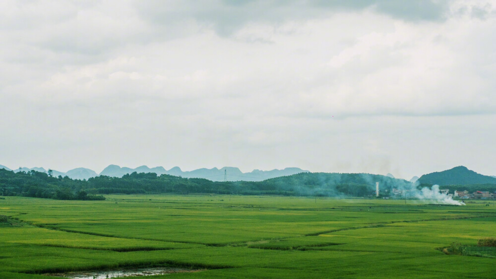 广州到南宁，动车大概四个小时左右。火车疾驰，穿过高山丘陵，越过农田湿地，景色一直在变，目不暇接。这条路线真的很适合自驾，正值水稻收获季，金灿灿的田野甚是美丽。