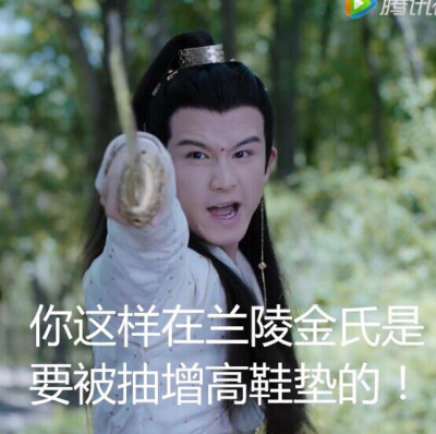 陈情令表情包
