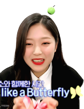 金贤真