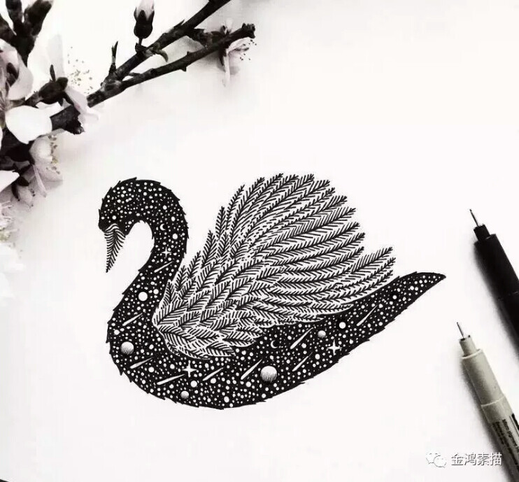 线描画