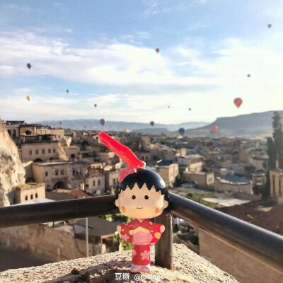 柴犬 樱桃小丸子 柴犬