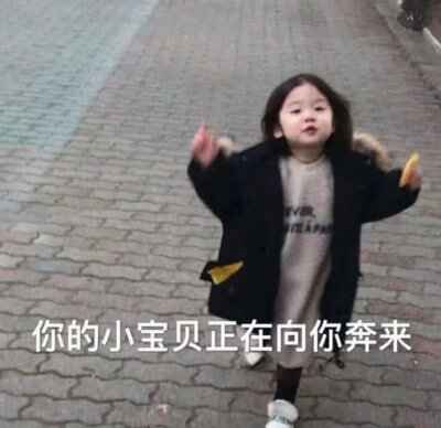 柴犬 樱桃小丸子 柴犬