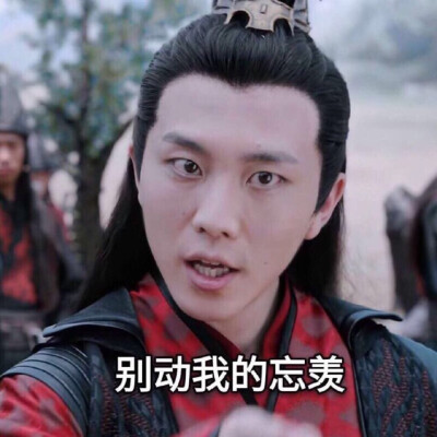 陈情令表情包