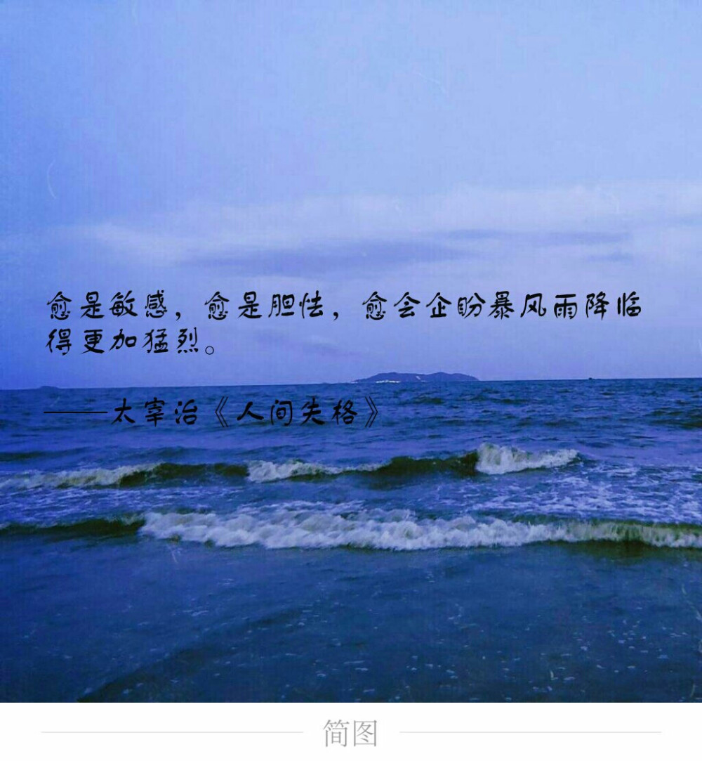 几世书页凉