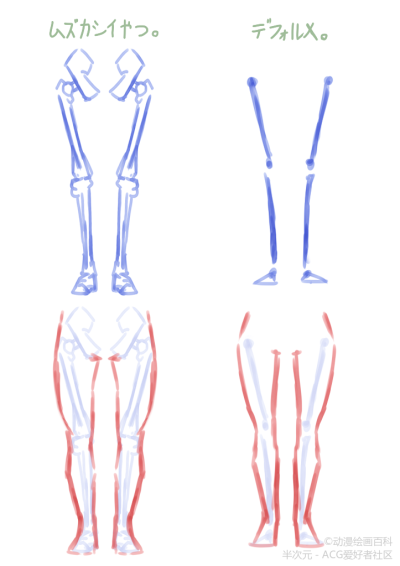 人体腿部绘画简易教程，图源来自p站