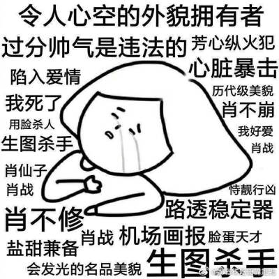 肖战表情包