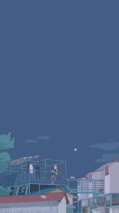 来自一只猪的壁纸