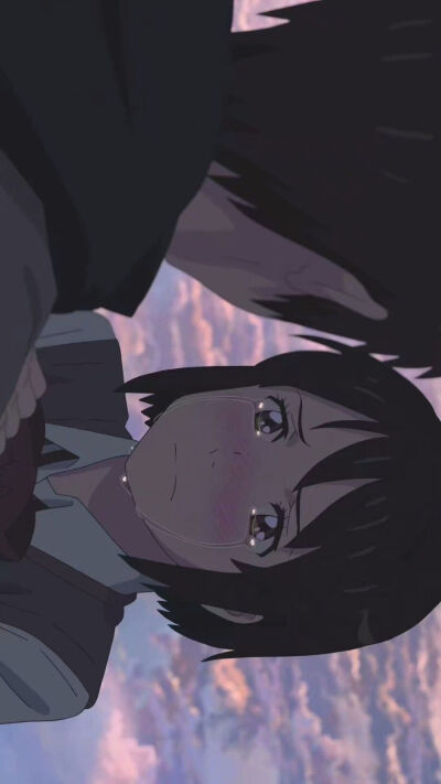 来自一只猪的壁纸