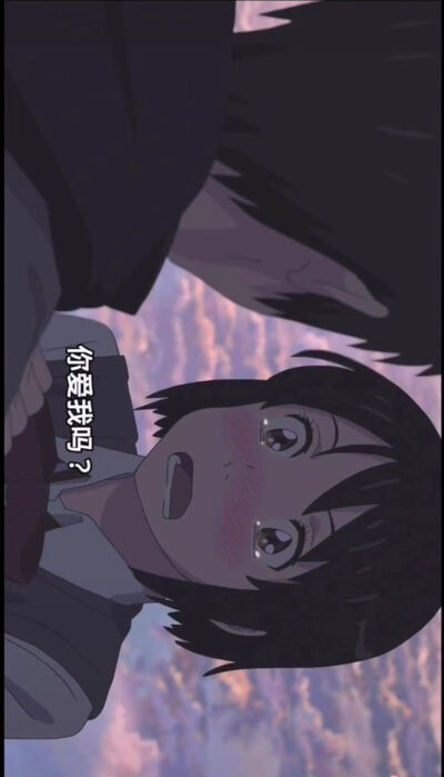 来自一只猪的壁纸