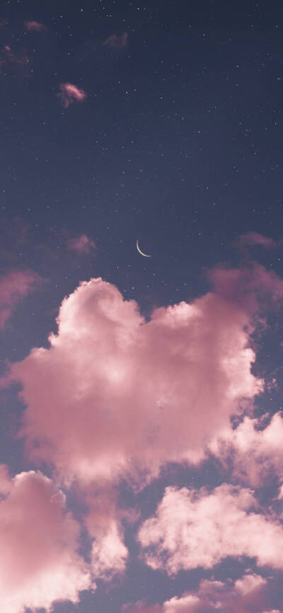 来自一只猪的壁纸