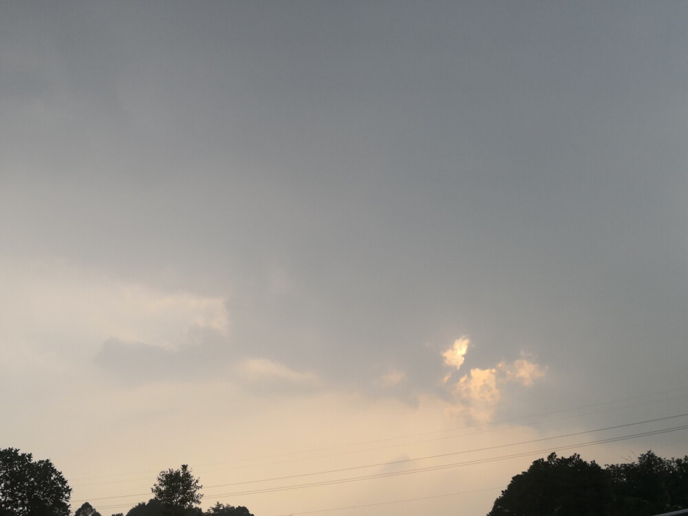 小时候，天空分明触手可及，于是喜欢上雨，因它带来天空的气味。