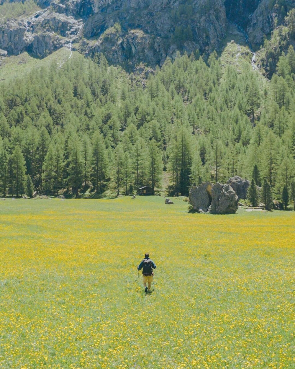 一场清新的夏日旅行