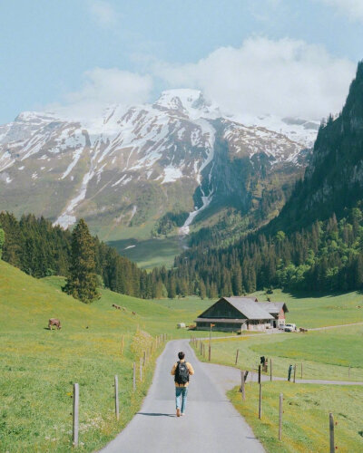 一场清新的夏日旅行