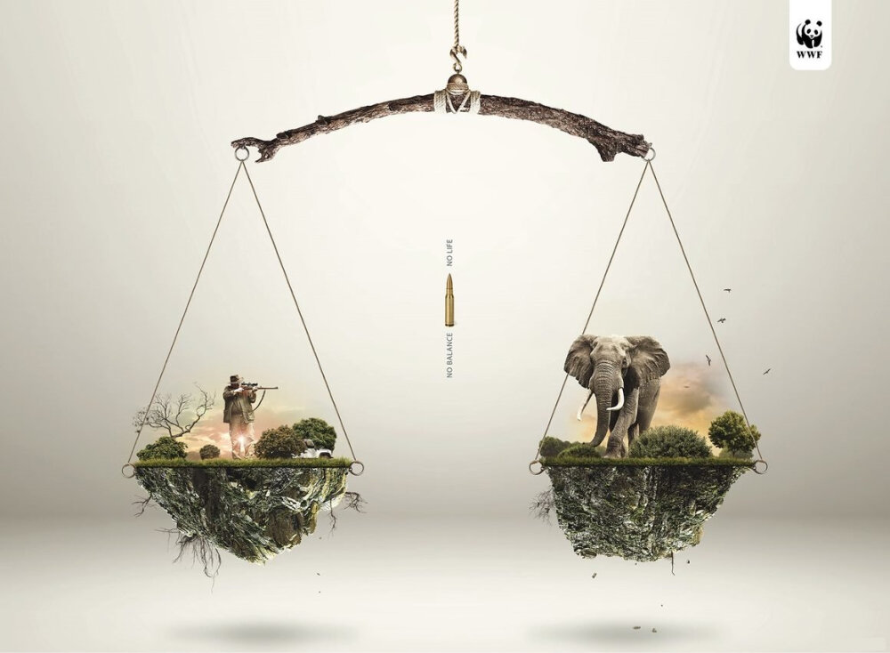 WWF的环保公益广告，枪响之后。。。