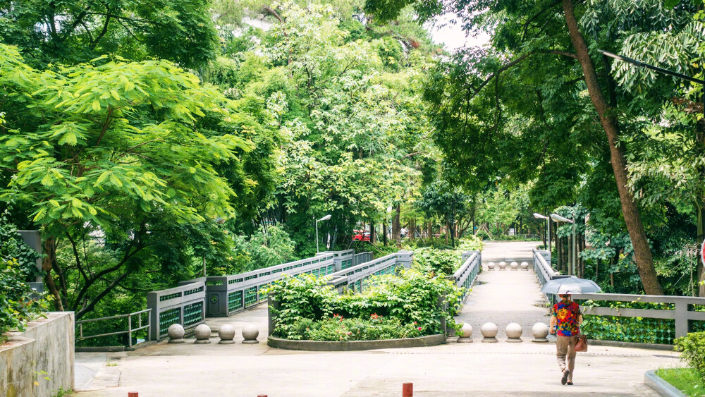 广西民族大学～