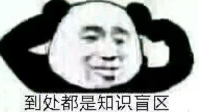 “这世上的真话本就不多
一位女子的脸红胜过一大段对白”