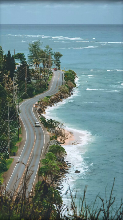海