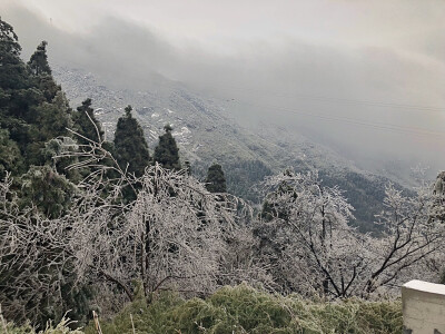 南岳衡山
雾凇