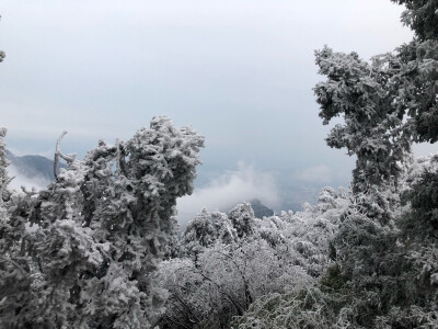 南岳衡山
雾凇