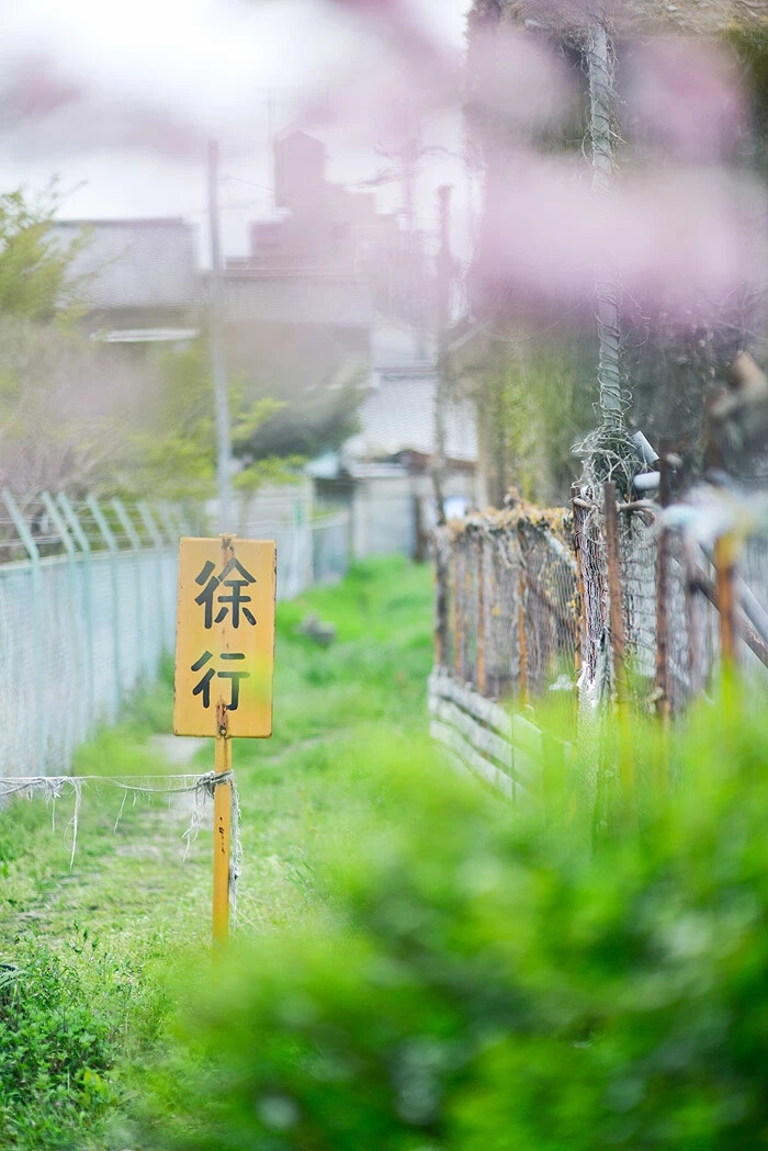 林老师摄影