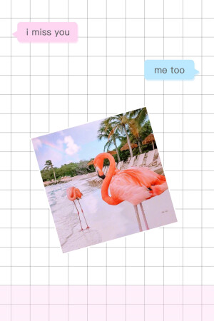 自己私留的壁纸