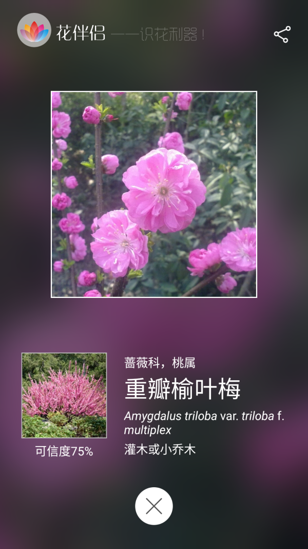 《花伴侣》一个app，直接对着植物扫一扫就可以弹出植物的名字，科属种的？