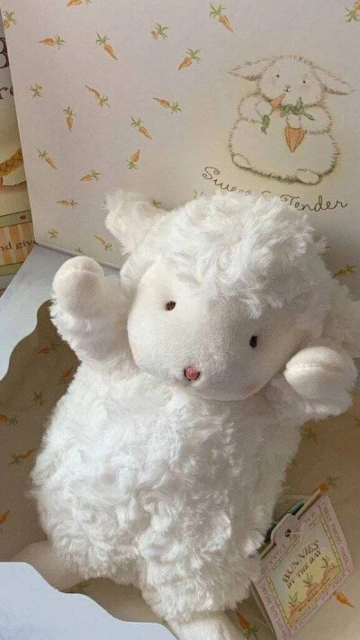 veşnică rouă