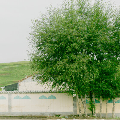 下雨想念天晴
摄影：洪小漩
地点：青海
对于那些出现过在生命中的人和风景，有抱歉，有感激。
2016年的年休假，去了青海。
自那以后，好像是有些时日没有去过人迹罕至的远方了。
不能在热闹的地方一直待着。容…