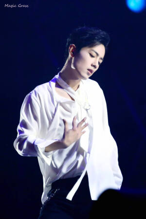 我是你的小飞侠