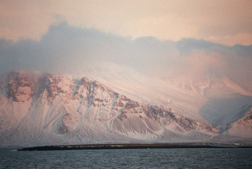 野梦